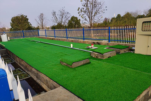 1553660429380532.jpg 131.jpg